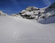 Winter am Zwerfenberg.jpg