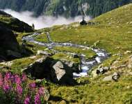 im Zwerfenberg Gebiet  -  obere Gambsenalm.jpg